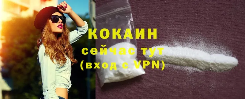 Кокаин Эквадор  Агрыз 