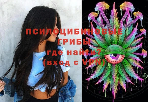 спайс Новозыбков