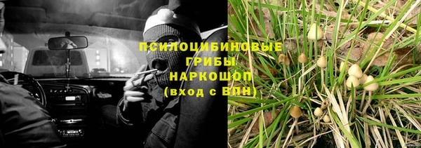 СК Новодвинск