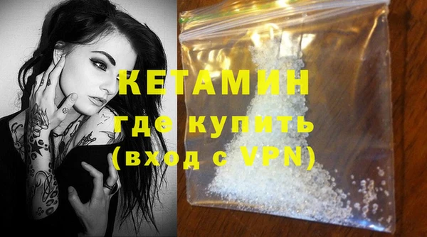 СК Новодвинск