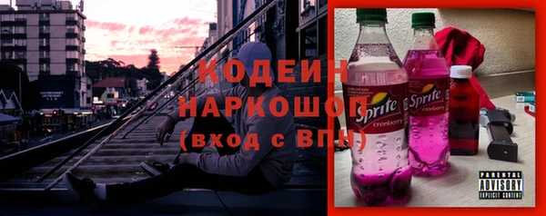 СК Новодвинск