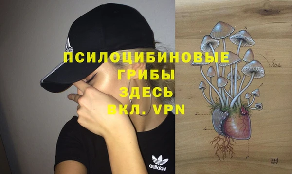 трава Усмань