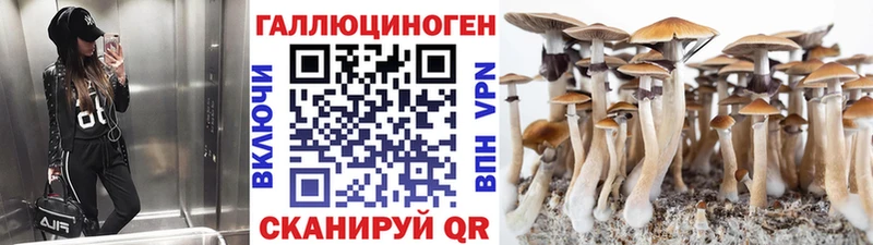 Галлюциногенные грибы мицелий  где купить   маркетплейс телеграм  Агрыз 